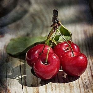 Meet your Posher, Vanessa